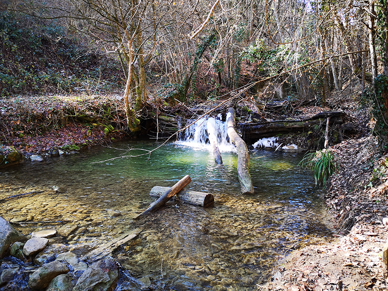 Il torrente Aneva