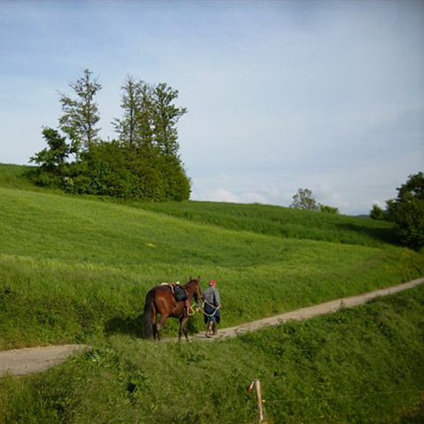 A cavallo